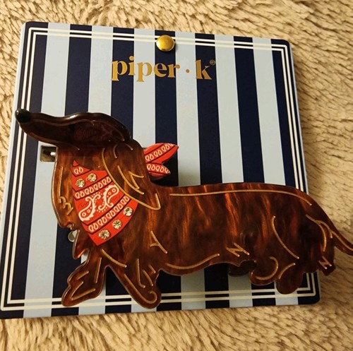 Piper dachshund weiner dog - piper, k