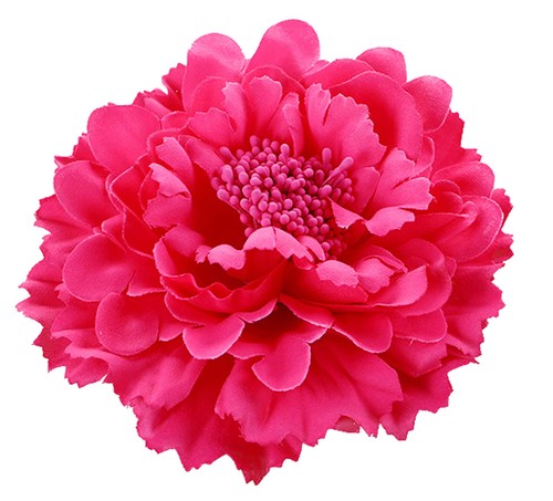 Hair flower clips - clips, brooch