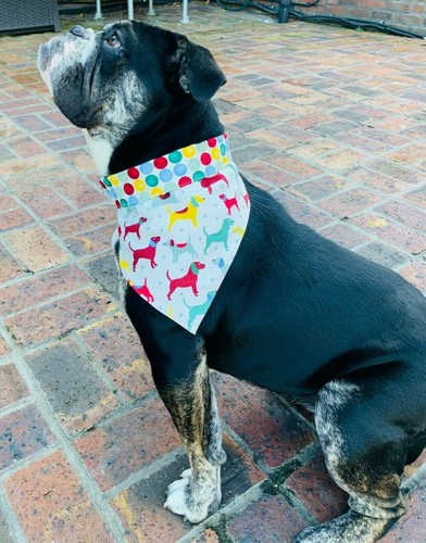Personalised dog bandanna - dog,