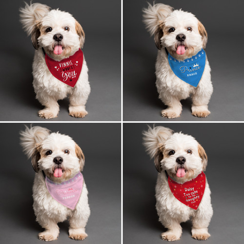 Personalised dog bandana - personalised, with