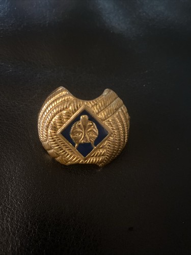 Boy scout cub - boy,